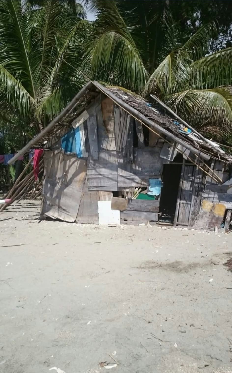 A small wooden home among palm trees